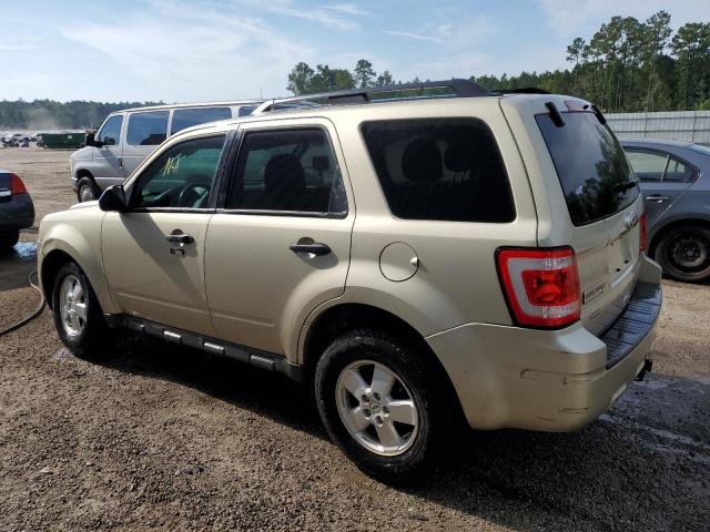 Photo 2 from auction – 2011 FORD ESCAPE XLT with VIN 1FMCU0DG3BKB23660