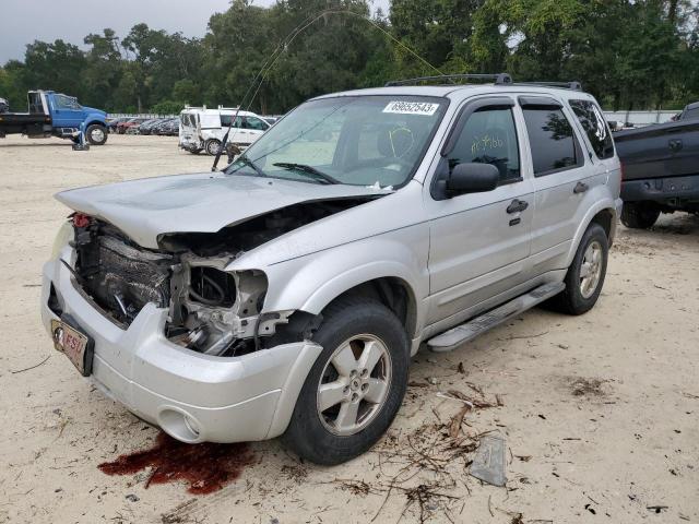 FORD ESCAPE XLT 2007 with VIN 1FMYU93177KA36441 - Photo from auction