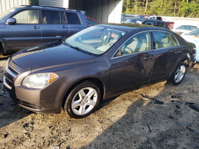 CHEVROLET MALIBU LS 2010 with VIN 1G1ZB5EB9AF314004 - Photo from auction