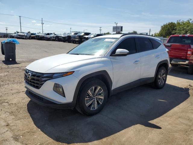HYUNDAI TUCSON BLU 2022 with VIN KM8JBCA19NU025675 - Photo from auction