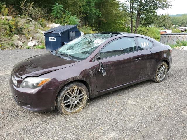 SCION TC 2010 with VIN JTKDE3B71A0317276 - Photo from auction