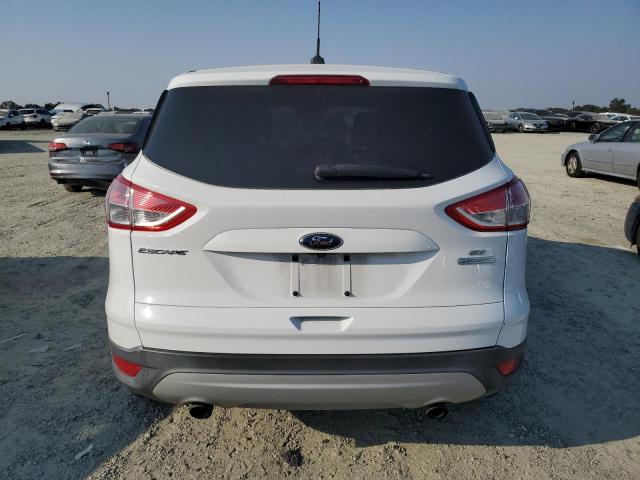 Photo 6 from auction – 2014 FORD ESCAPE SE with VIN 1FMCU0GX6EUD10380