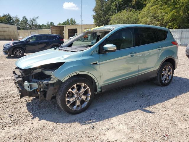 FORD ESCAPE SEL 2013 with VIN 1FMCU0HX7DUC07918 - Photo from auction