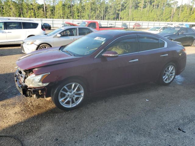 NISSAN MAXIMA S 2009 with VIN 1N4AA51E19C853890 - Photo from auction