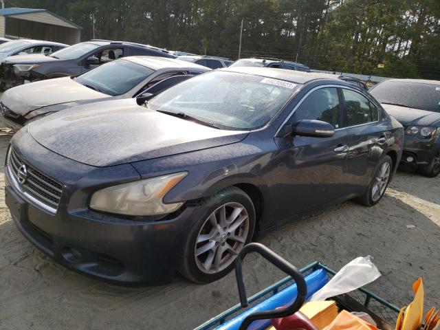 NISSAN MAXIMA S 2010 with VIN 1N4AA5AP5AC815584 - Photo from auction
