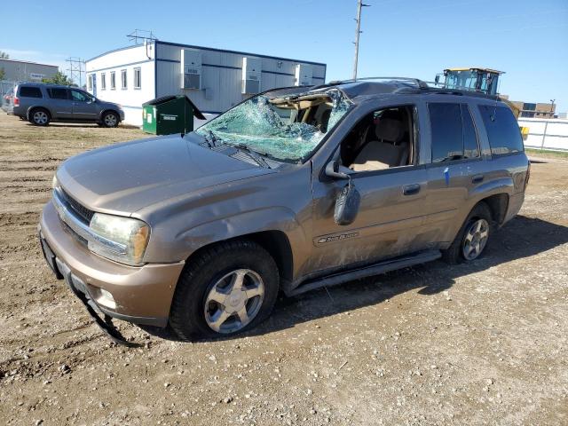 CHEVROLET TRAILBLAZE 2003 with VIN 1GNDT13S932396232 - Photo from auction