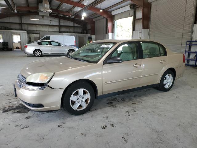 CHEVROLET MALIBU LS 2004 with VIN 1G1ZT52844F173207 - Photo from auction