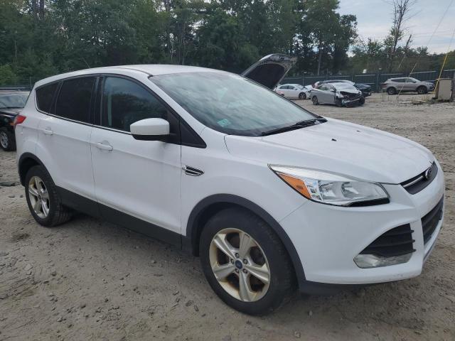 Photo 4 from auction – 2014 FORD ESCAPE SE with VIN 1FMCU9GX2EUD76073