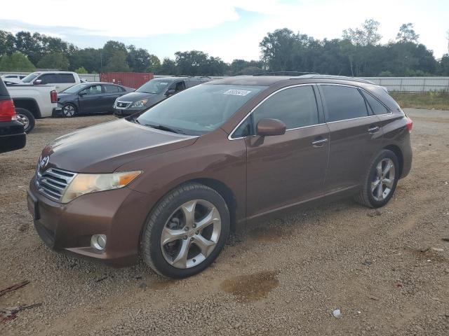 TOYOTA VENZA 2010 with VIN 4T3BK3BB1AU027613 - Photo from auction