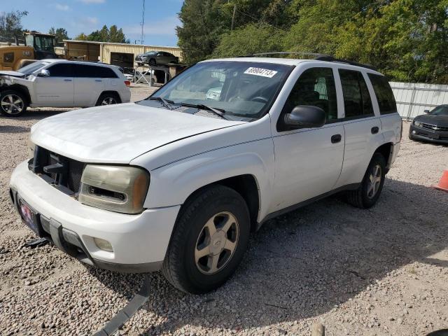 CHEVROLET TRAILBLAZE 2002 with VIN 1GNDT13S622289850 - Photo from auction
