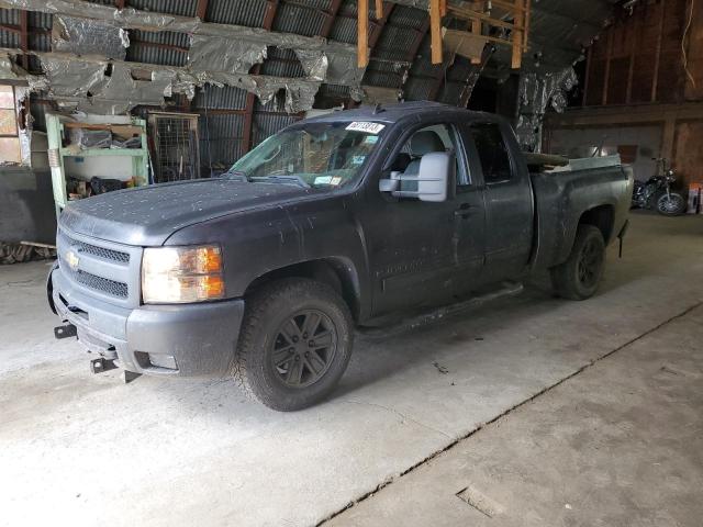 CHEVROLET SILVERADO 2009 with VIN 1GCEK29079Z229895 - Photo from auction