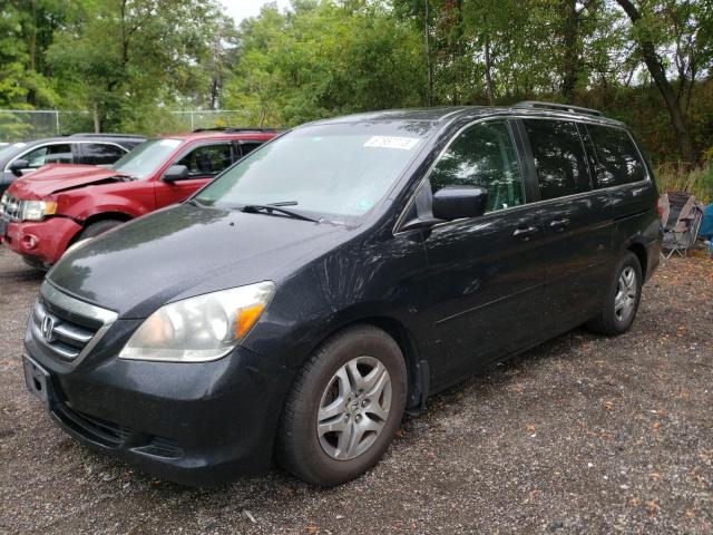 HONDA ODYSSEY EX 2007 with VIN 5FNRL38617B502259 - Photo from auction