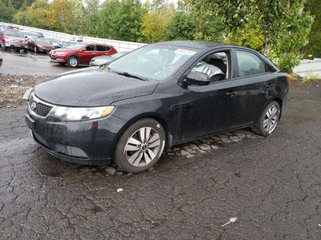 KIA FORTE EX 2013 with VIN KNAFU4A28D5733506 - Photo from auction