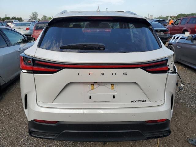 Photo 6 from auction – 2022 LEXUS NX 250 with VIN 2T2GDCAZ0NC001515