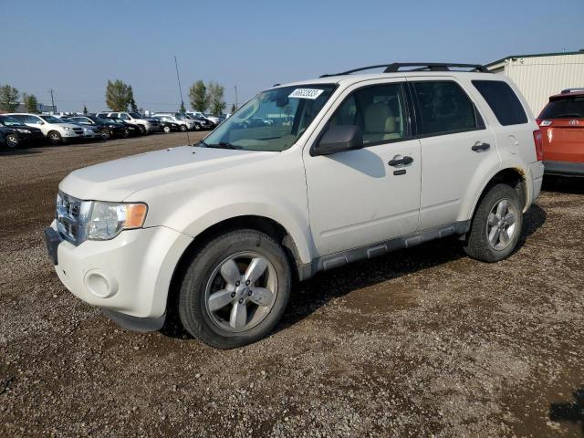 FORD ESCAPE XLT 2010 with VIN 1FMCU9DG9AKB16506 - Photo from auction