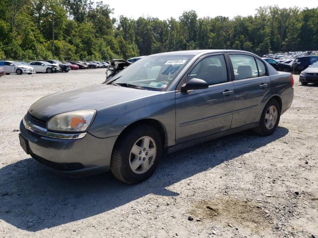 CHEVROLET MALIBU LS 2004 with VIN 1G1ZT52824F108629 - Photo from auction