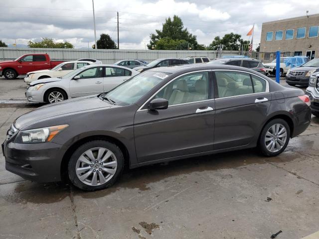 HONDA ACCORD EXL 2011 with VIN 1HGCP3F81BA015029 - Photo from auction