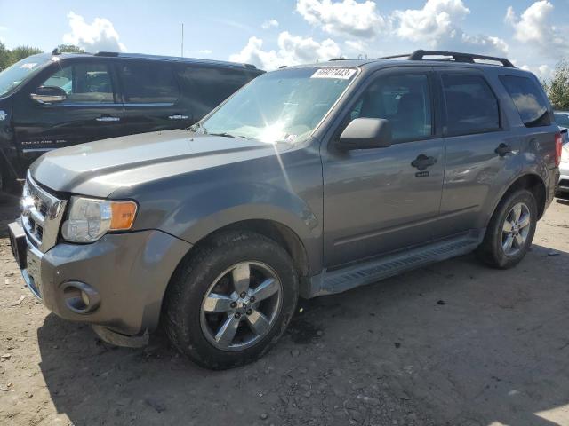 FORD ESCAPE XLT 2009 with VIN 1FMCU93G79KA02405 - Photo from auction