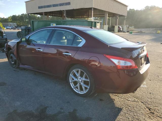 Photo 2 from auction – 2009 NISSAN MAXIMA S with VIN 1N4AA51E69C849785