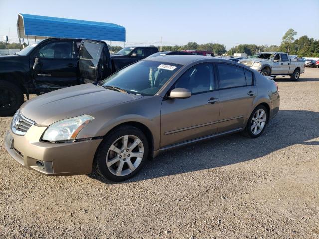 NISSAN MAXIMA SE 2008 with VIN 1N4BA41E88C817286 - Photo from auction