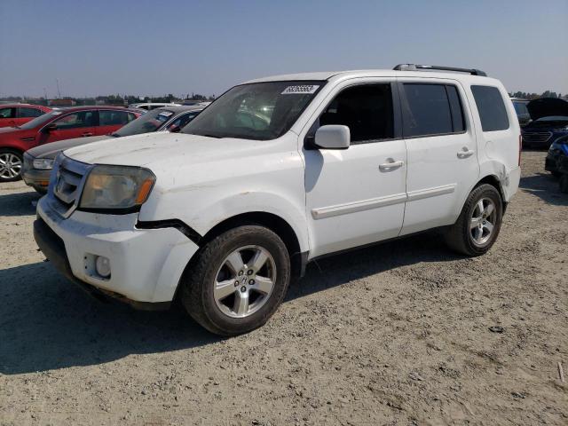 HONDA PILOT EX 2009 с VIN 5FNYF484X9B017273 - Фото с аукциона