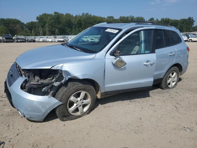 HYUNDAI SANTA FE G 2007 with VIN 5NMSG13D87H096639 - Photo from auction