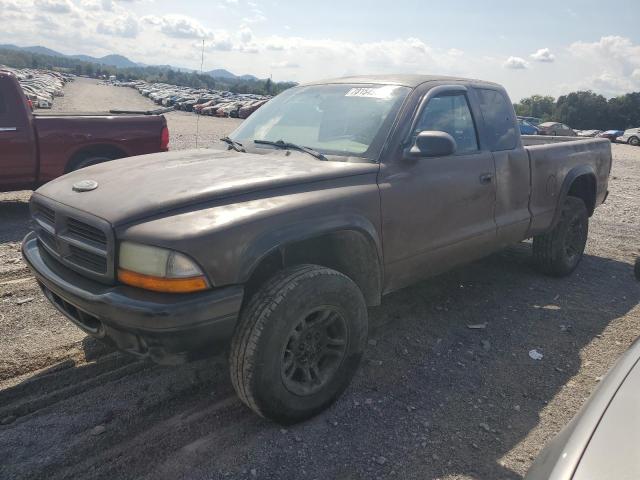 DODGE DAKOTA BAS 2002 with VIN 1B7GG12X12S691203 - Photo from auction