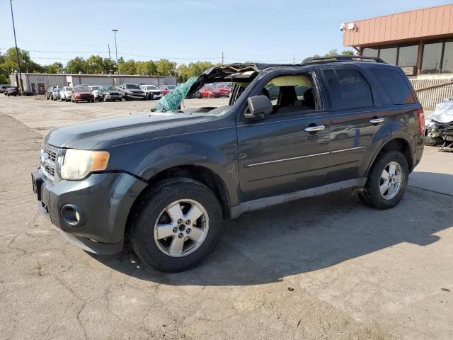FORD ESCAPE XLT 2009 with VIN 1FMCU03G29KC25608 - Photo from auction