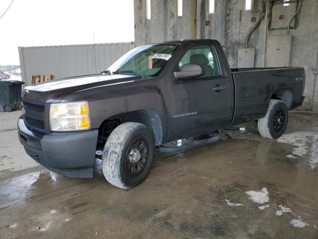 CHEVROLET SILVERADO 2011 with VIN 1GCNKPEX5BZ183327 - Photo from auction