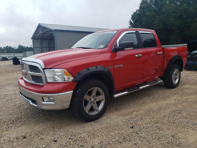 DODGE RAM 1500 2010 with VIN 1D7RV1CT8AS228392 - Photo from auction