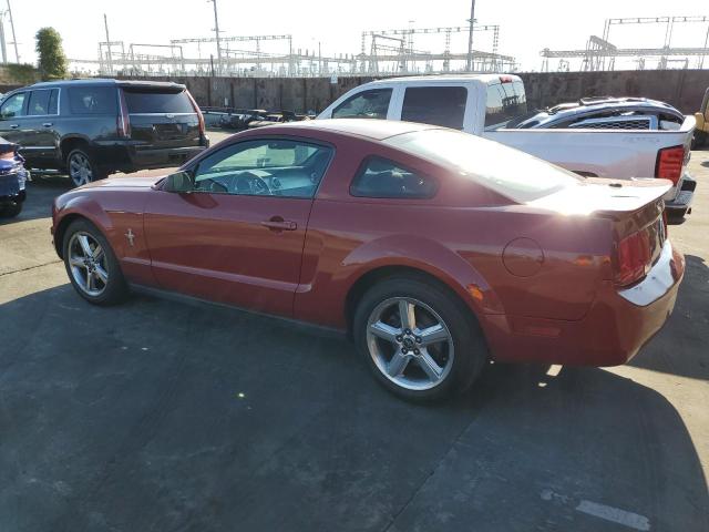 Photo 2 from auction – 2008 FORD MUSTANG with VIN 1ZVHT80N485103633