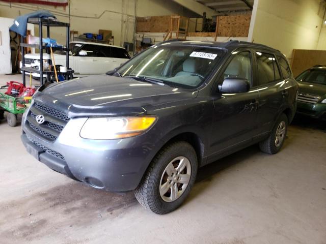 HYUNDAI SANTA FE G 2009 with VIN 5NMSG73D19H237637 - Photo from auction