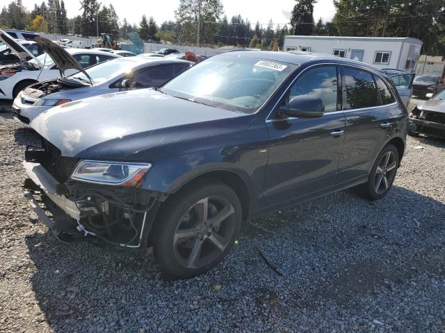AUDI Q5 PREMIUM 2016 with VIN WA1D7AFP1GA106804 - Photo from auction