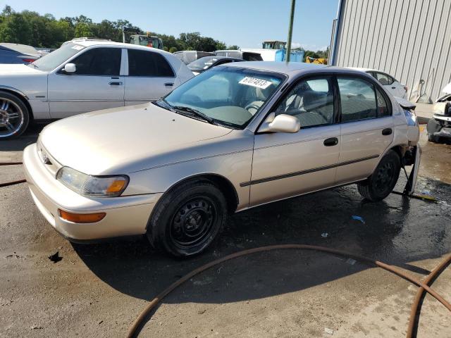 TOYOTA COROLLA DX 1996 with VIN 1NXBB02E7TZ404918 - Photo from auction