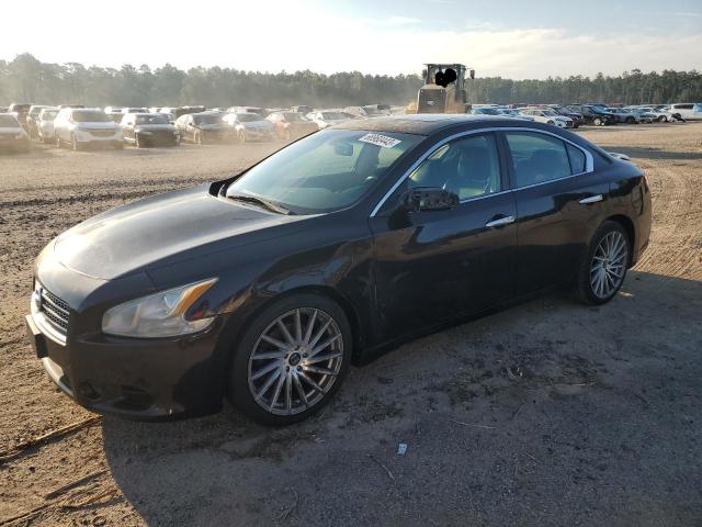 NISSAN MAXIMA S 2010 with VIN 1N4AA5AP0AC850730 - Photo from auction
