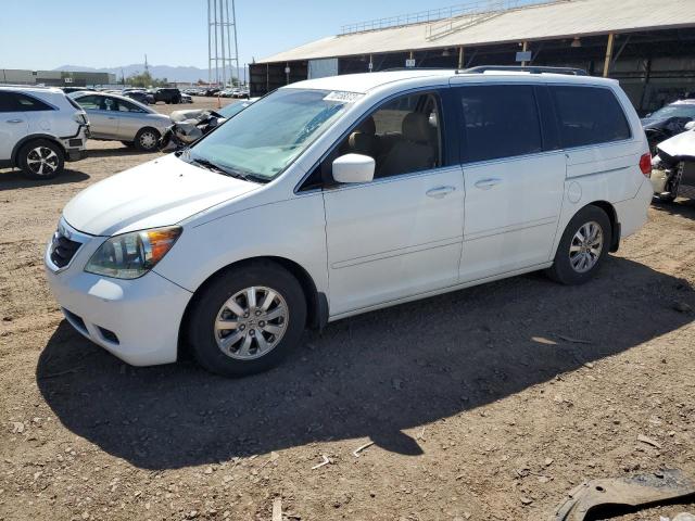 HONDA ODYSSEY EX 2009 with VIN 5FNRL38449B006101 - Photo from auction