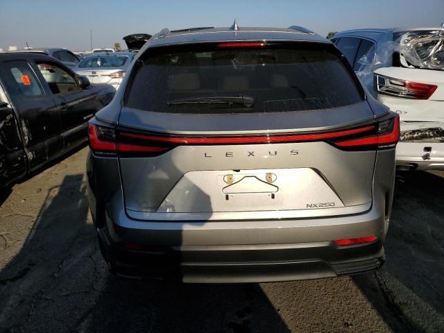 Photo 6 from auction – 2022 LEXUS NX 250 with VIN 2T2ADCAZ3NC002325