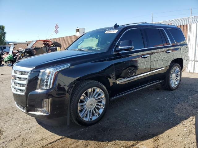 CADILLAC ESCALADE P 2016 with VIN 1GYS4DKJ4GR172039 - Photo from auction