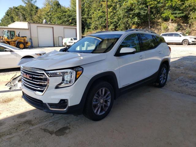 GMC TERRAIN SL 2023 with VIN 3GKALVEG1PL172215 - Photo from auction