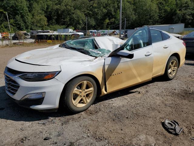 CHEVROLET MALIBU LS 2023 with VIN 1G1ZC5ST4PF152303 - Photo from auction