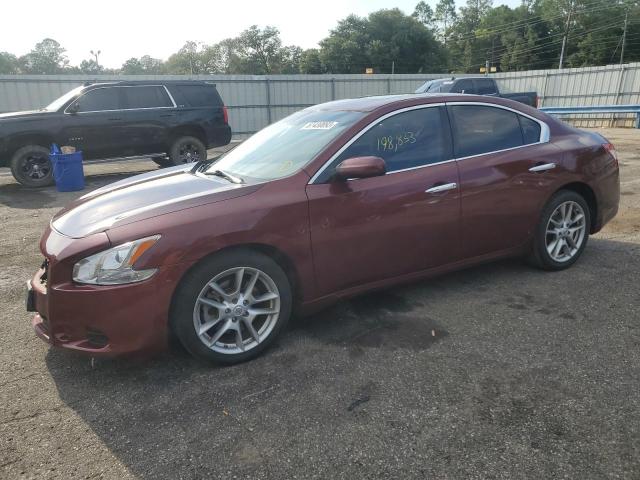 NISSAN MAXIMA S/S 2010 с VIN 1N4AA5AP7AC862812 - Снимка от търг