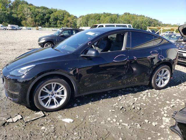 TESLA MODEL Y 2023 with VIN 7SAYGAEE0PF804614 - Photo from auction