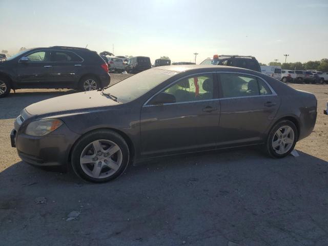 CHEVROLET MALIBU LS 2011 with VIN 1G1ZA5E18BF145492 - Photo from auction