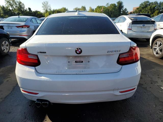Photo 6 from auction – 2015 BMW 228 XI SUL with VIN WBA1G9C52FVX96710