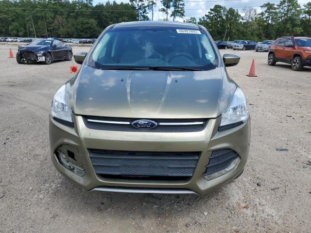 Photo 5 from auction – 2013 FORD ESCAPE SE with VIN 1FMCU0GX9DUC41652