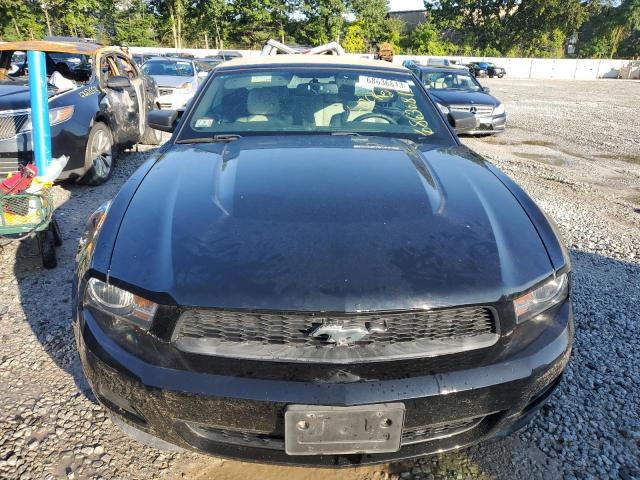 Photo 5 from auction – 2012 FORD MUSTANG with VIN 1ZVBP8EM0C5286418