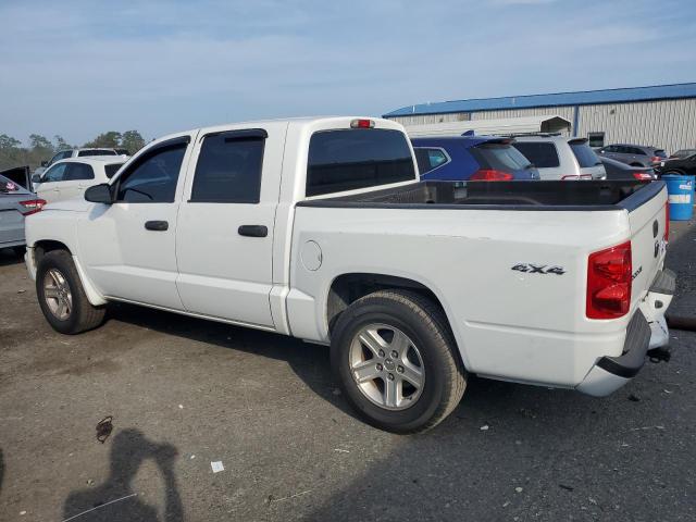 Photo 2 from auction – 2011 DODGE DAKOTA SLT with VIN 1D7RW3GK0BS511977