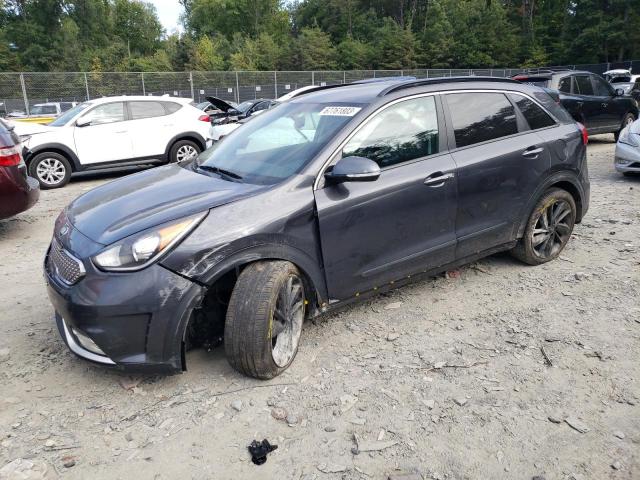 KIA NIRO EX 2019 with VIN KNDCC3LC5K5263263 - Photo from auction
