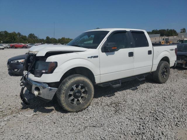 FORD F150 SUPER 2010 with VIN 1FTEW1E86AFB58995 - Photo from auction