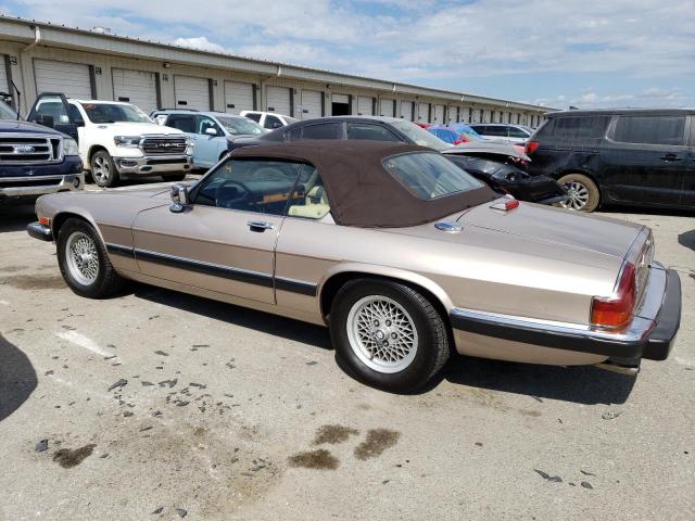 Photo 2 from auction – 1991 JAGUAR XJS CLASSI with VIN SAJTW4840MC178720
